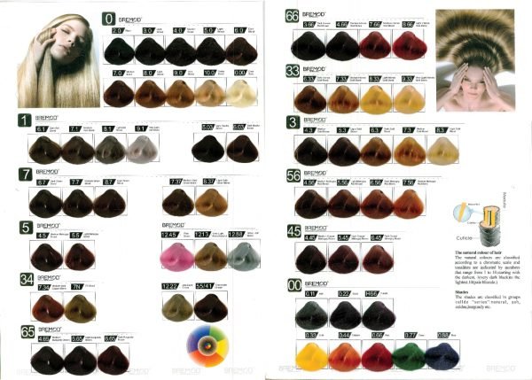 Bremod Hair Color 100ml - Image 2